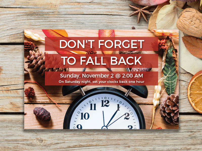 Fall Back Time Change Postcards